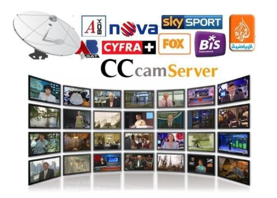 Server di Cccam Iptv di Internet, canali della Germania Regno Unito del server di Iptv Hd Cccam del cielo pro